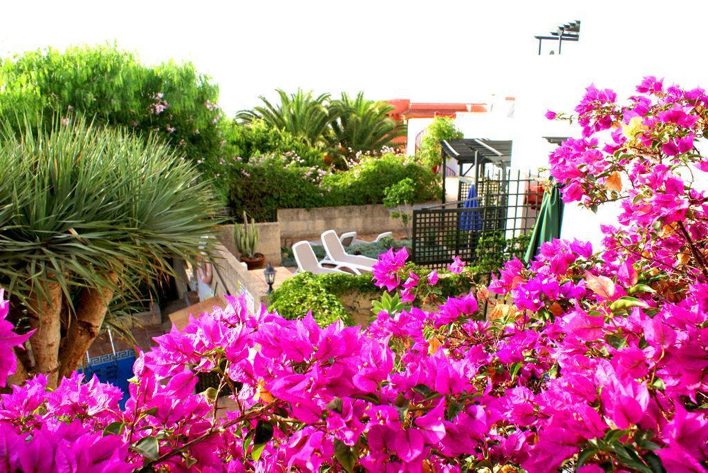 Casa San Miguel Leilighet San Miguel de Abona Eksteriør bilde